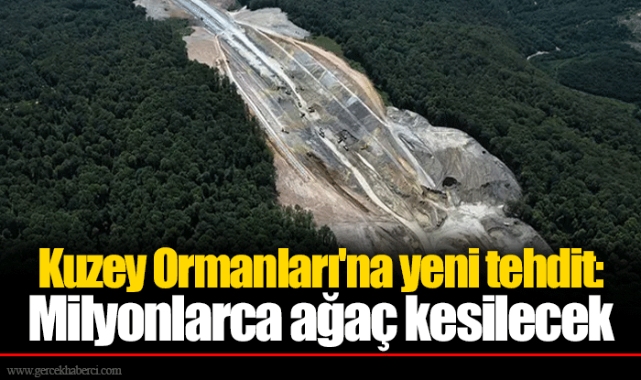 Kuzey Ormanları'na yeni tehdit: Milyonlarca ağaç kesilecek