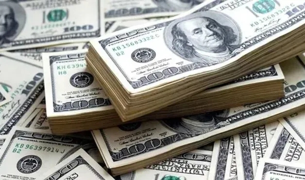 Merkez Bankası rezervleri 141 milyar 61 milyon dolara geriledi