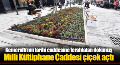 Milli Kütüphane Caddesi çiçek açtı