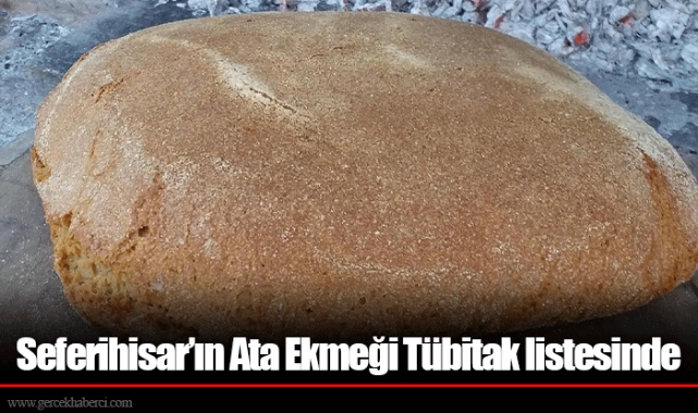 Seferihisar’ın Ata Ekmeği Tübitak listesinde