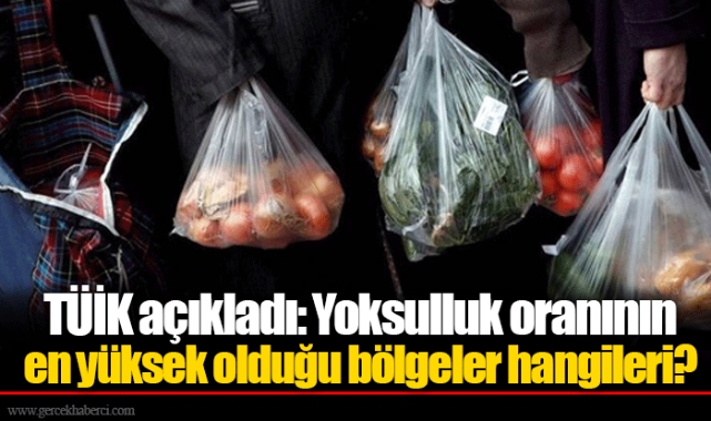 TÜİK açıkladı: Yoksulluk oranının en yüksek olduğu bölgeler hangileri?
