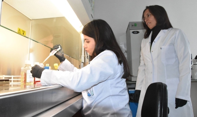 Türk profesörden kanser hücrelerinin yayılmasını önleyecek çalışma; patentini aldı