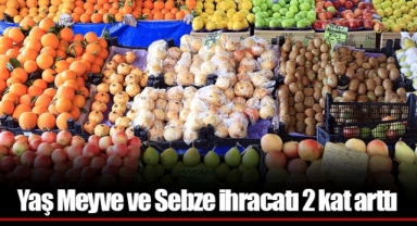 Yaş Meyve ve Sebze ihracatı 2 kat arttı