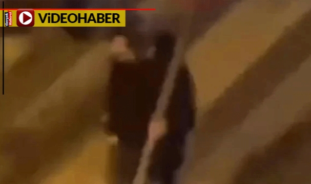 Ağacı önce öptü sonra yaladı... Kadın gördüklerine inanamadı
