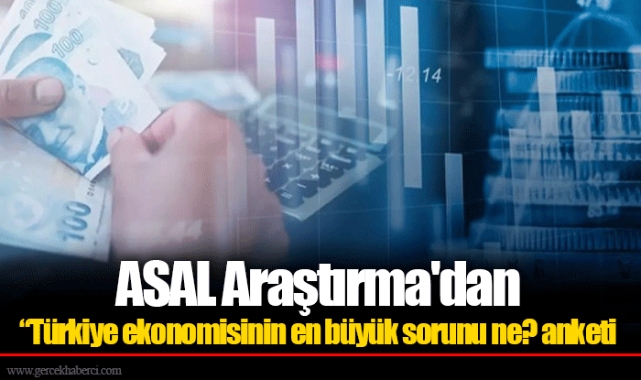 ASAL Araştırma'dan “Türkiye ekonomisinin en büyük sorunu ne? anketi