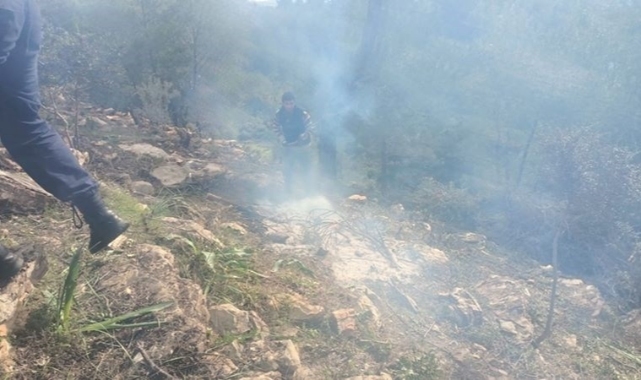 Bodrum'da ağaçları kesip yaktılar: 20 gözaltı