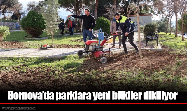 Bornova’da parklara yeni bitkiler dikiliyor