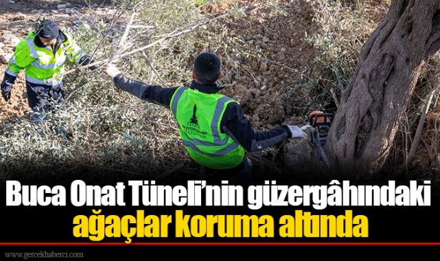 Buca Onat Tüneli’nin güzergâhındaki ağaçlar koruma altında