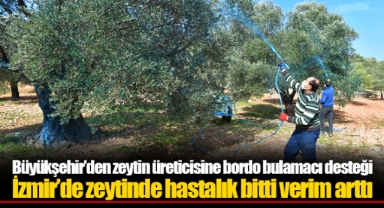 Büyükşehir’den zeytin üreticisine bordo bulamacı desteği