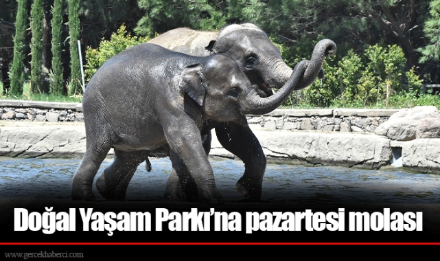 Doğal Yaşam Parkı’na pazartesi molası