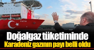 Doğalgaz tüketiminde Karadeniz gazının payı belli oldu
