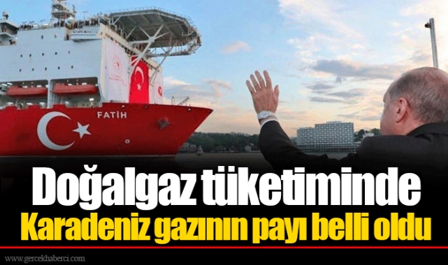 Doğalgaz tüketiminde Karadeniz gazının payı belli oldu