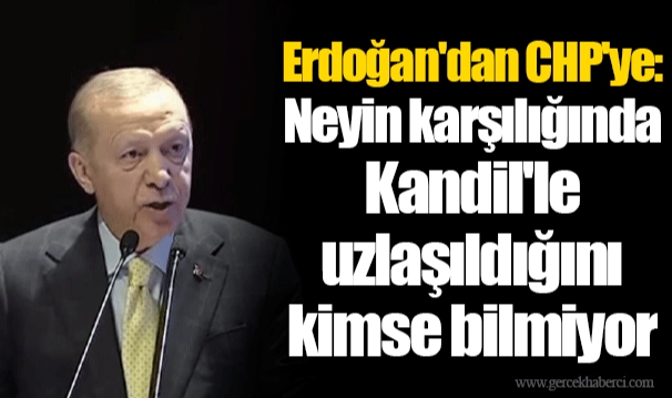 Erdoğan'dan CHP'ye: Neyin karşılığında Kandil'le uzlaşıldığını kimse bilmiyor