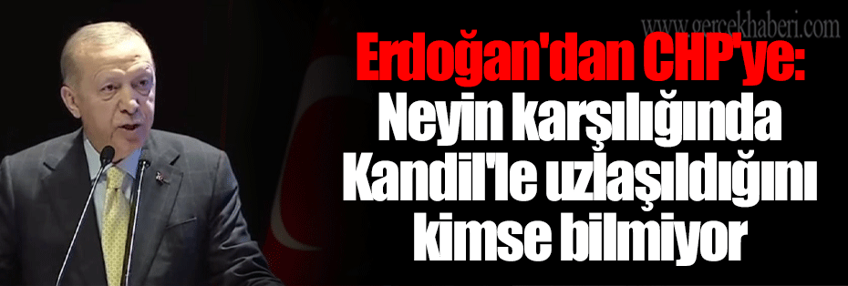 Erdoğan'dan CHP'ye: Neyin karşılığında Kandil'le uzlaşıldığını kimse bilmiyor