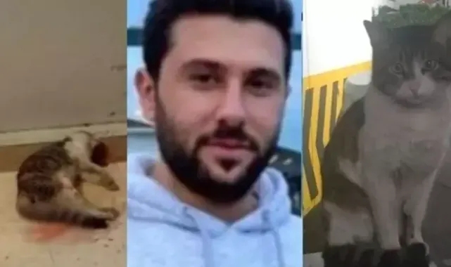 'Eros'un katilinin tutuklanması için 250 bin imza