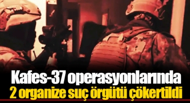 Kafes-37 operasyonlarında 2 organize suç örgütü çökertildi