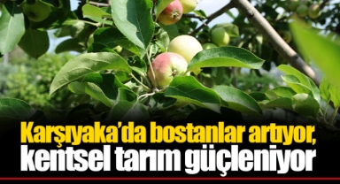 Karşıyaka’da bostanlar artıyor, kentsel tarım güçleniyor