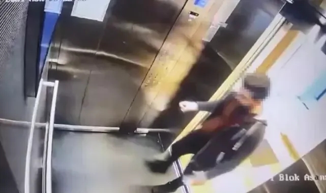 Kedi Eros’u darp ederek öldüren İbrahim Keloğlan hakkında flaş gelişme