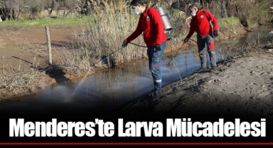 Menderes’te Larva Mücadelesi