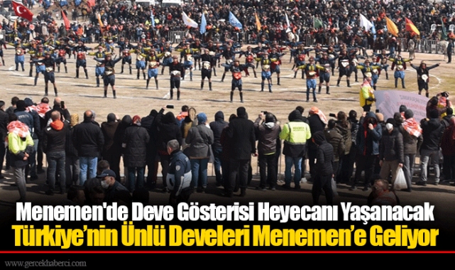 Menemen&#039;de Deve Gösterisi Heyecanı Yaşanacak