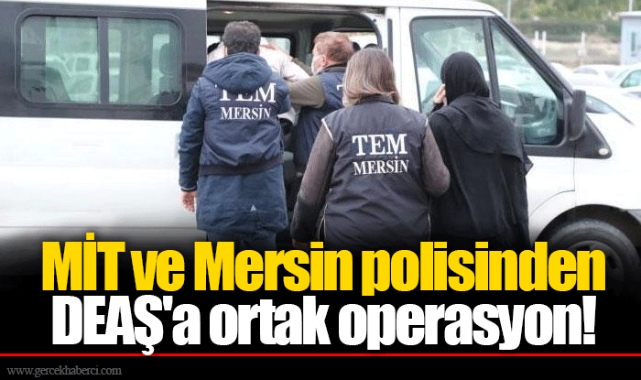MİT ve Mersin polisinden DEAŞ'a ortak operasyon!