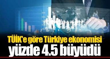 TÜİK'e göre Türkiye ekonomisi yüzde 4.5 büyüdü