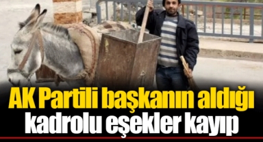 AK Partili başkanın aldığı kadrolu eşekler kayıp