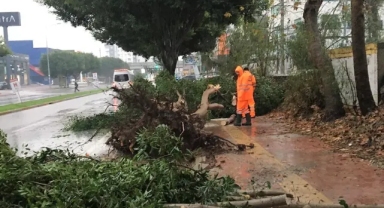 Antalya'da 4 ilçe afet bölgesi ilan edildi
