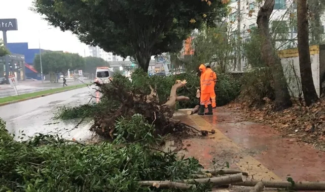 Antalya&#039;da 4 ilçe afet bölgesi ilan edildi
