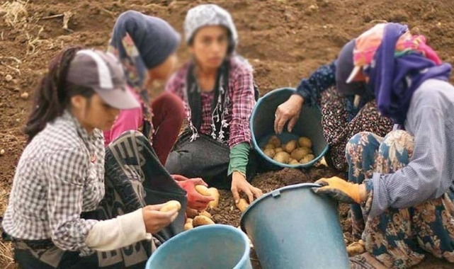 Bakanlık, çocuk işçiliğiyle mücadeleden vazgeçti: Bütçeden kestiler