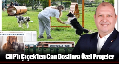 CHP’li Çiçek’ten Can Dostlara Özel Projeler