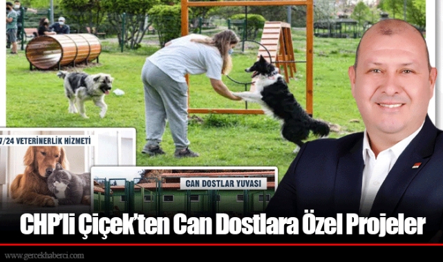CHP’li Çiçek’ten Can Dostlara Özel Projeler