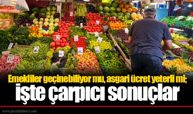 Emekliler geçinebiliyor mu, asgari ücret yeterli mi; işte çarpıcı sonuçlar