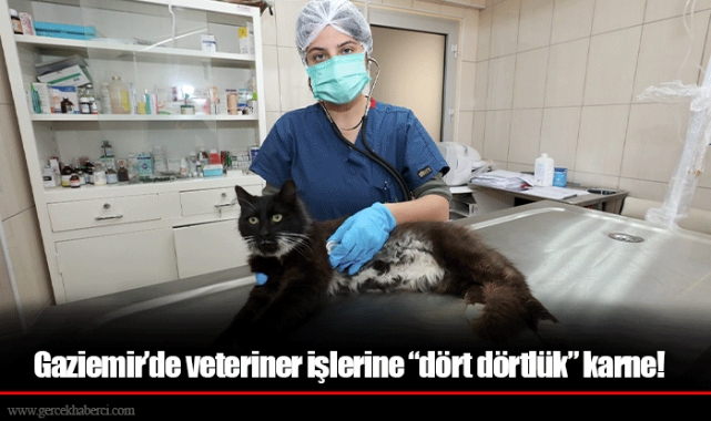 Gaziemir’de veteriner işlerine “dört dörtlük” karne!  