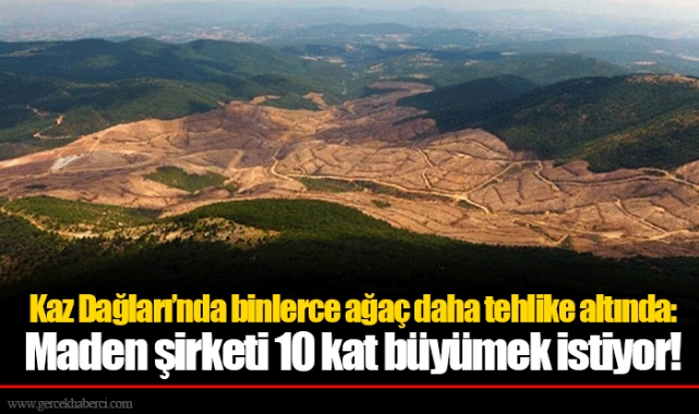 Kaz Dağları’nda binlerce ağaç daha tehlike altında: Maden şirketi 10 kat büyümek istiyor!