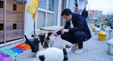 Kırkpınar'dan Bayraklılara Doğal Yaşam Parkı müjdesi