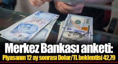 Merkez Bankası anketi: Piyasanın 12 ay sonrası Dolar/TL beklentisi 42,79