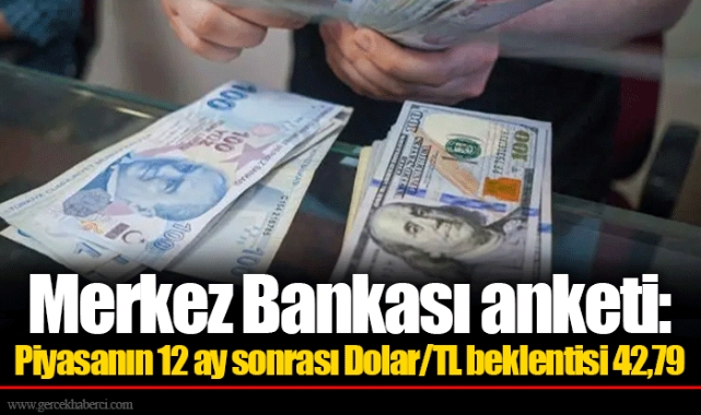 Merkez Bankası anketi: Piyasanın 12 ay sonrası Dolar/TL beklentisi 42,79