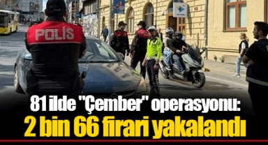 81 ilde