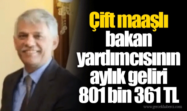 Çift maaşlı bakan yardımcısının aylık geliri 801 bin 361 TL