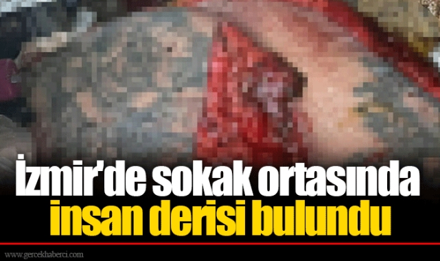 İzmir'de sokak ortasında insan derisi bulundu