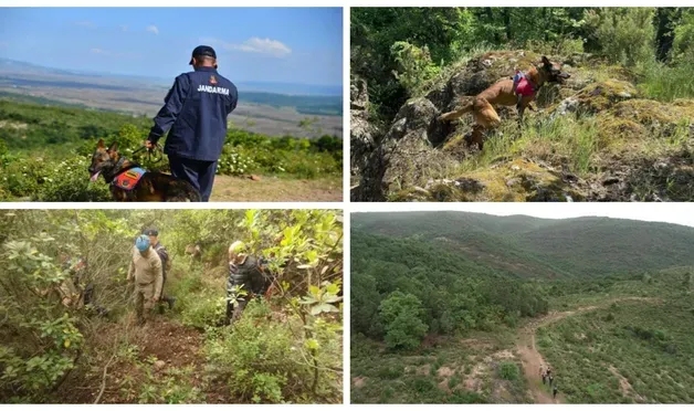 Korhan Berzeg'in kayıp kemikleri, 3 kadavra arama köpeği ve 62 personel ile aranıyor