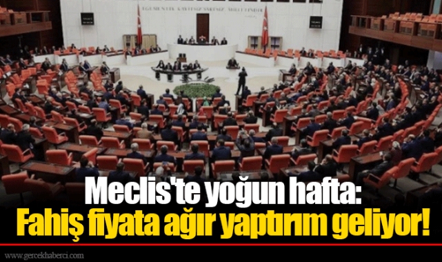 Meclis'te yoğun hafta: Fahiş fiyata ağır yaptırım geliyor!