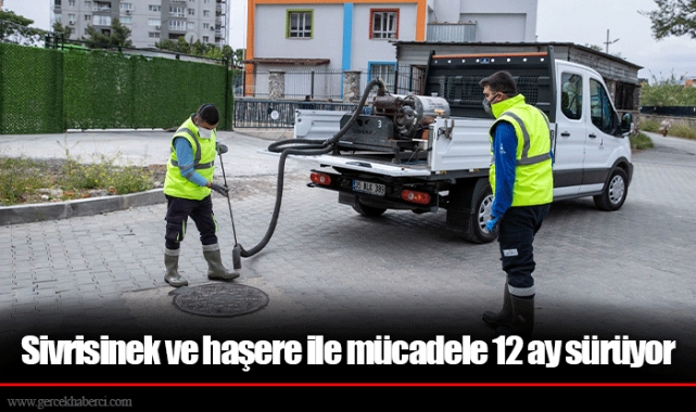 Sivrisinek ve haşere ile mücadele 12 ay sürüyor