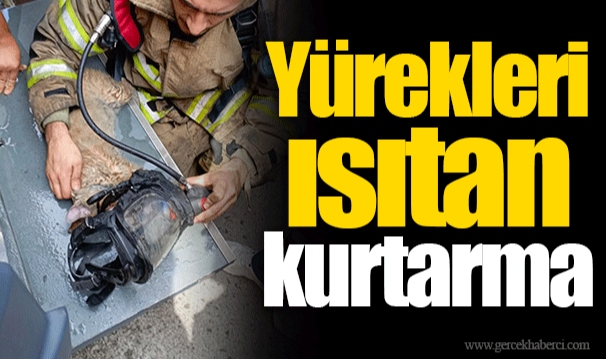 Yürekleri ısıtan kurtarma
