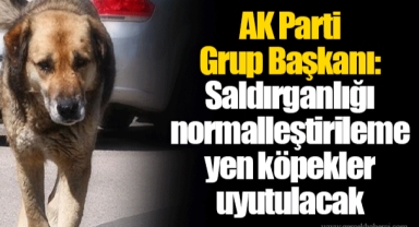 AK Parti Grup Başkanı: Saldırganlığı normalleştirilemeyen köpekler uyutulacak
