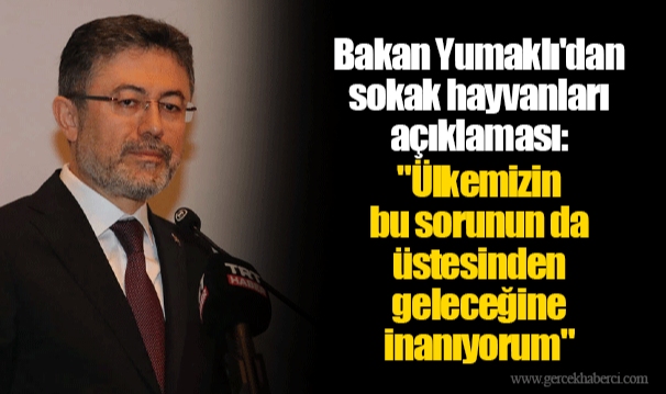 Bakan Yumaklı'dan sokak hayvanları açıklaması: "Ülkemizin bu sorunun da üstesinden geleceğine inanıyorum"