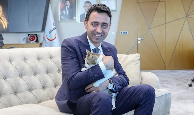 Başkan Önal, yaralı kediye sahip çıktı ‘sahiplenme’ çağrısı yaptı