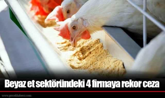 Beyaz et sektöründeki 4 firmaya rekor ceza