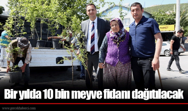 Bir yılda 10 bin meyve fidanı dağıtılacak